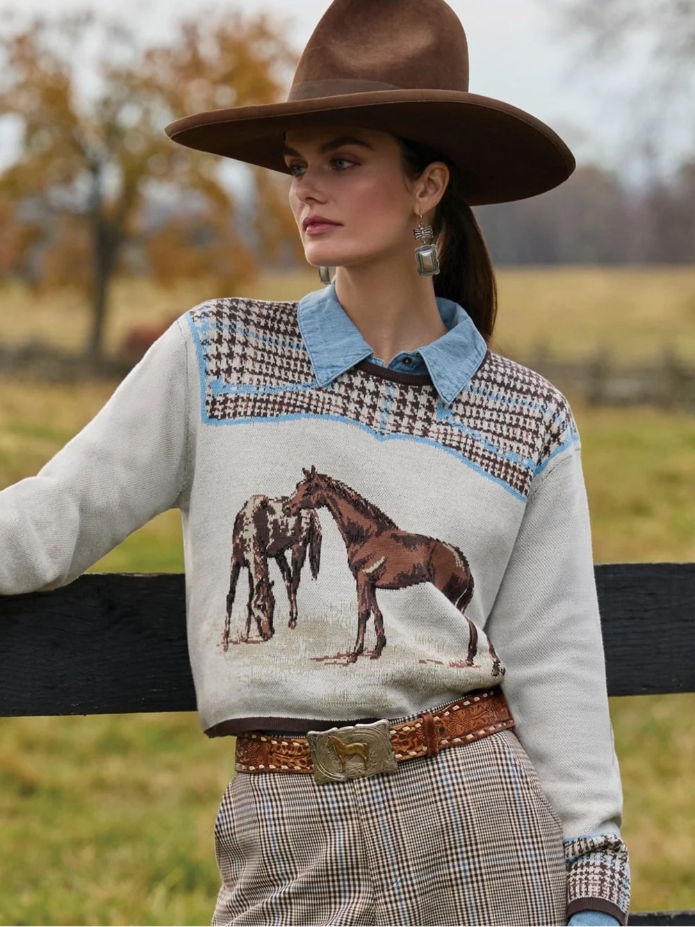 Double D Ranch Horsiculture horse Sweater 100% Cotton Equestrian RTL $395 1X NWT